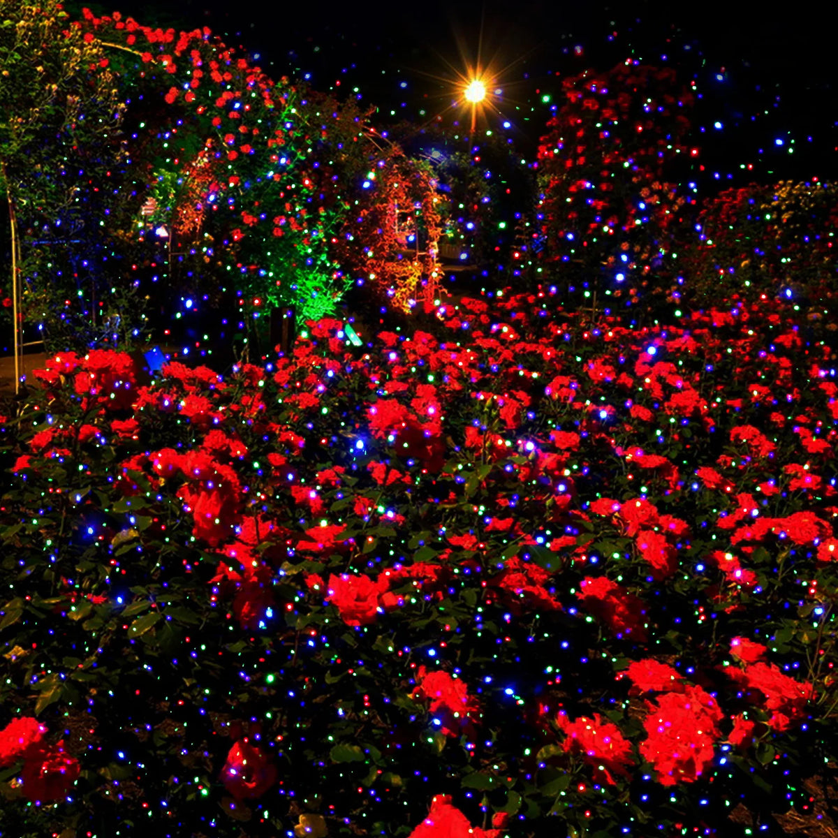 Effet lucioles rouge, vert et bleu : une idée cadeau de Noël vraiment spectaculaire